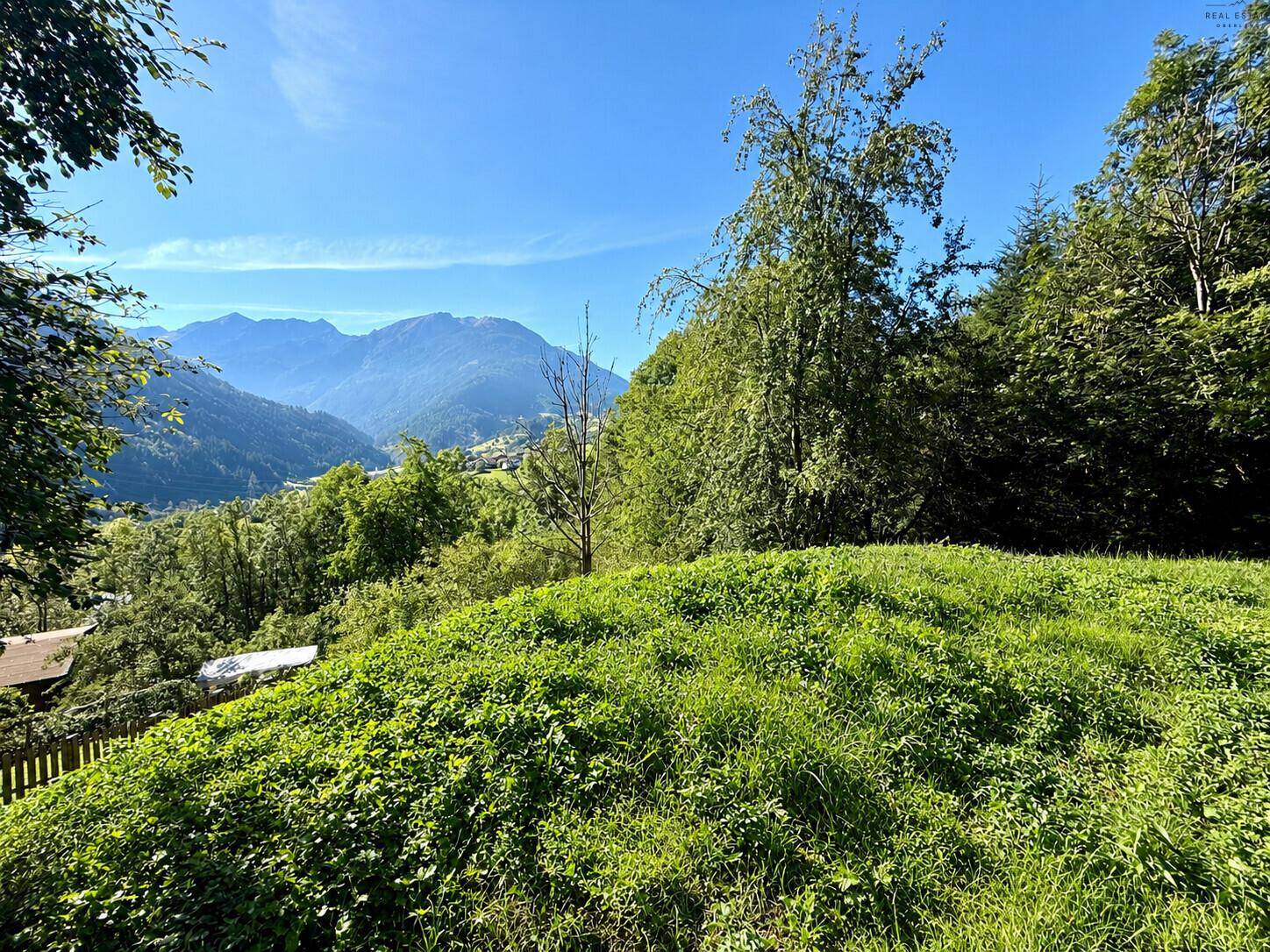 Weitläufiger Blick über grüne Hügel und bewaldete Berge unter strahlend blauem Himmel.