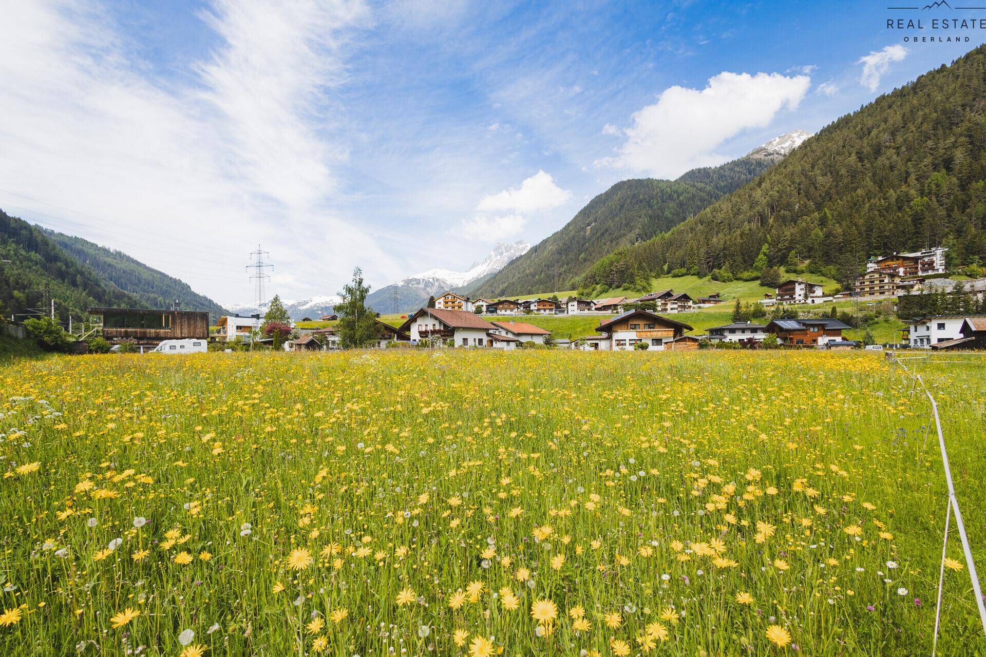 Blumenwiese mit gelben Blüten im Vordergrund und einem Dorf vor alpiner Bergkulisse.