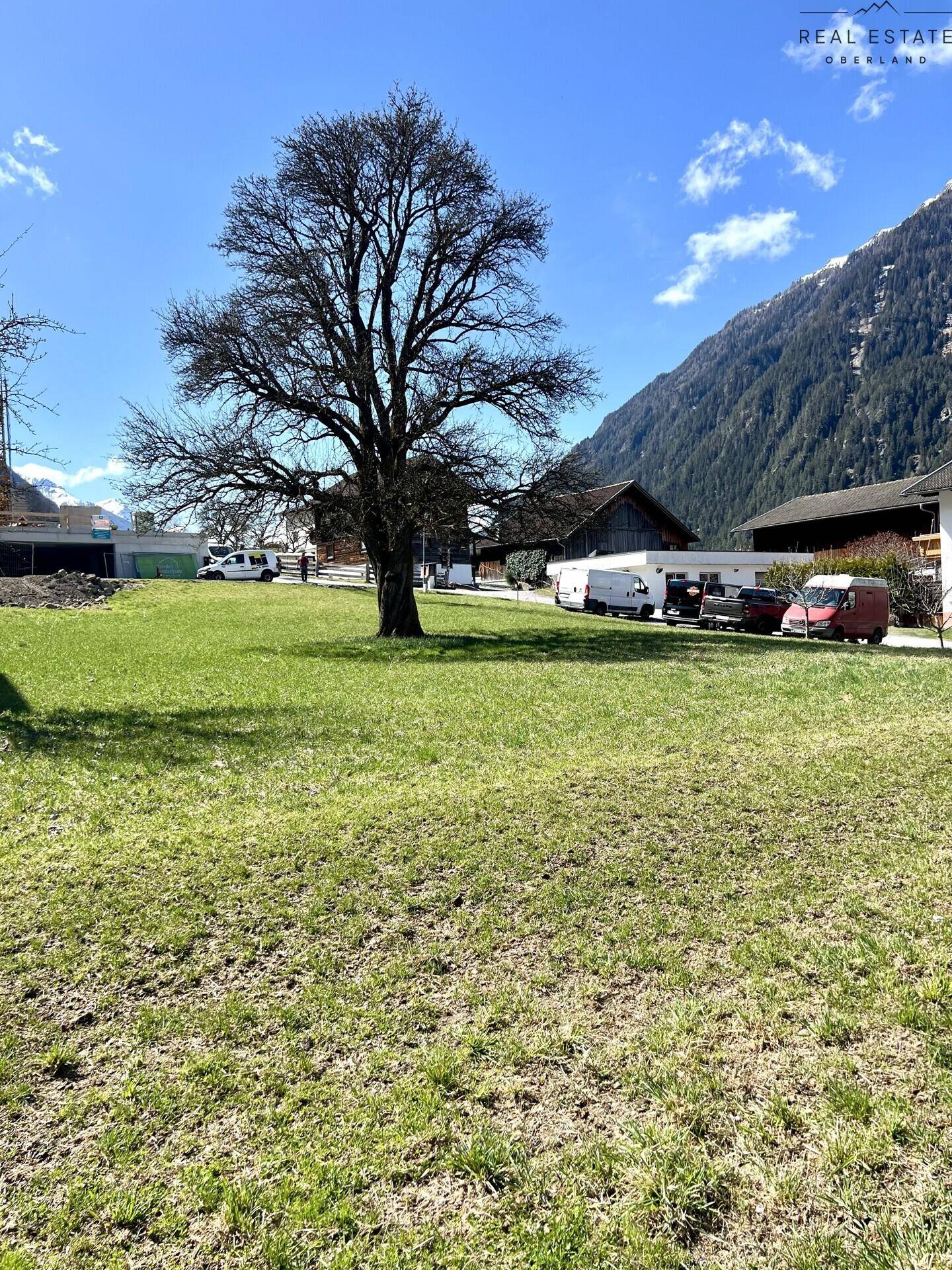 Sonnige Wiese mit imposantem Baum, umgeben von ländlicher Bebauung und alpiner Berglandschaft.