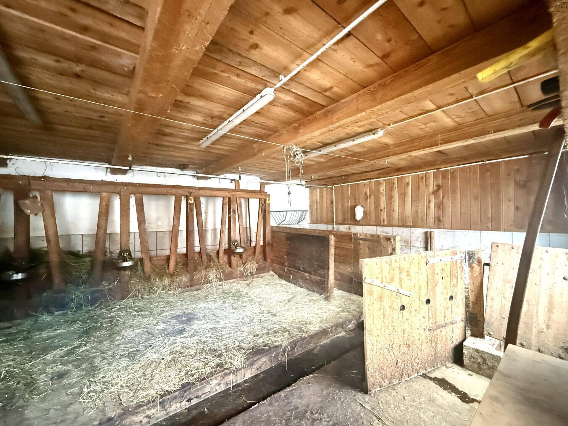 Innenansicht eines Stalls mit Holzbalken und Futterstellen, in ursprünglichem Zustand.