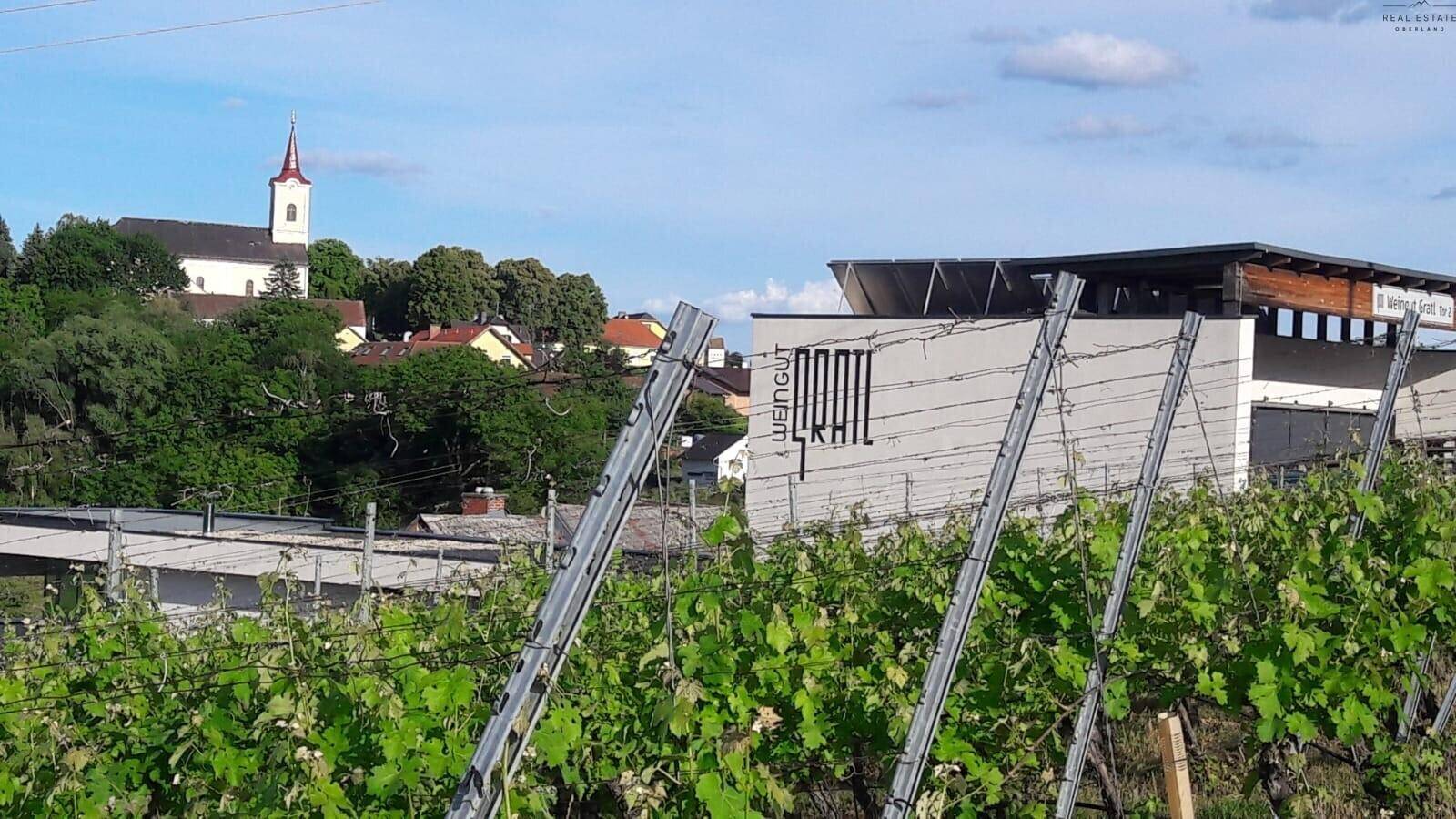 Weinberg mit einem modernen Weingut und einer Kirche im Hintergrund unter blauem Himmel, der die ländliche Idylle betont.