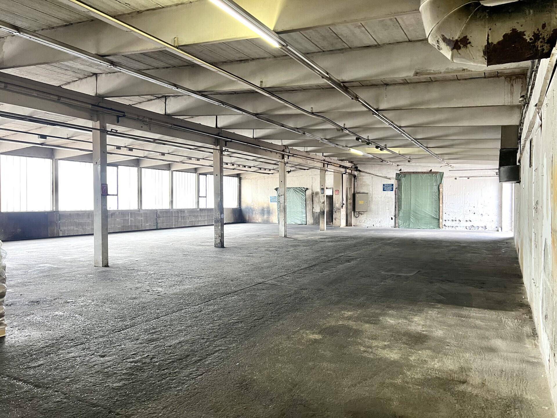 Weitläufige Industriehalle mit Betonboden, Säulen und Leuchtstoffröhren an der Decke, gut beleuchtet.