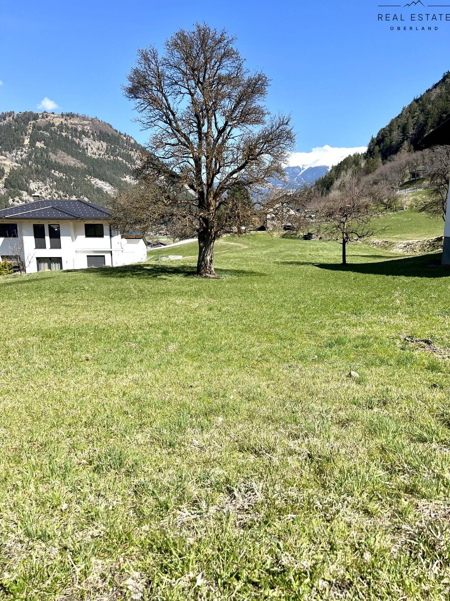 Weitläufige Wiese mit altem Baum und einem modernen Haus, umgeben von grünen Hügeln und Bergen.
