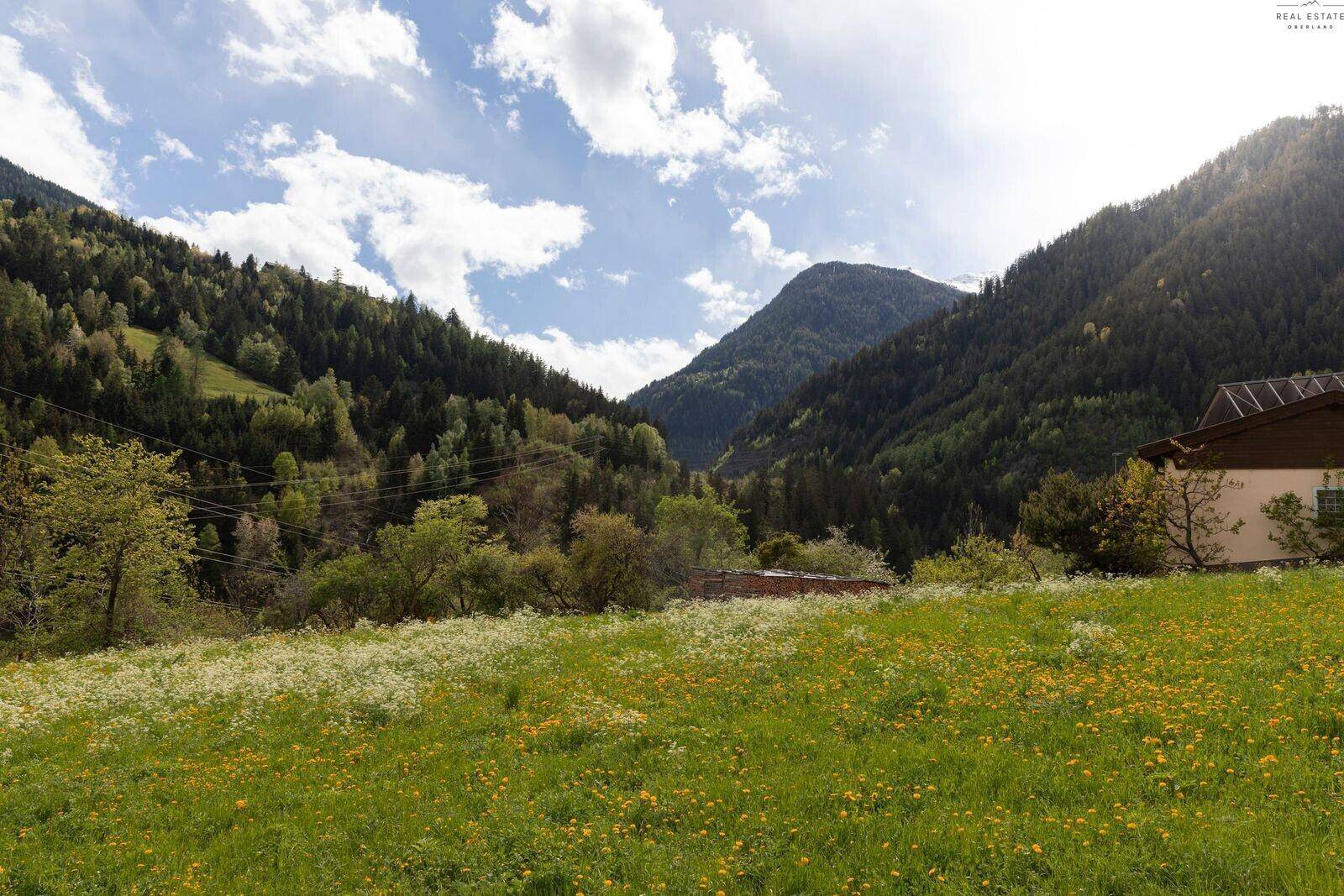 Eine blühende Wiese im Vordergrund mit einem bewaldeten Tal und Bergen unter blauem Himmel.