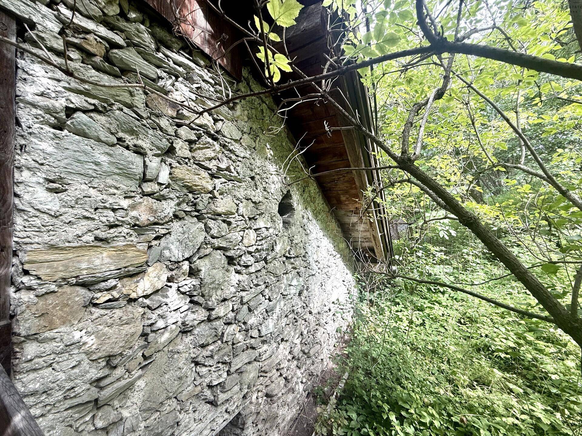 Detailansicht einer alten Steinmauer, die von Bäumen und Sträuchern umgeben ist.