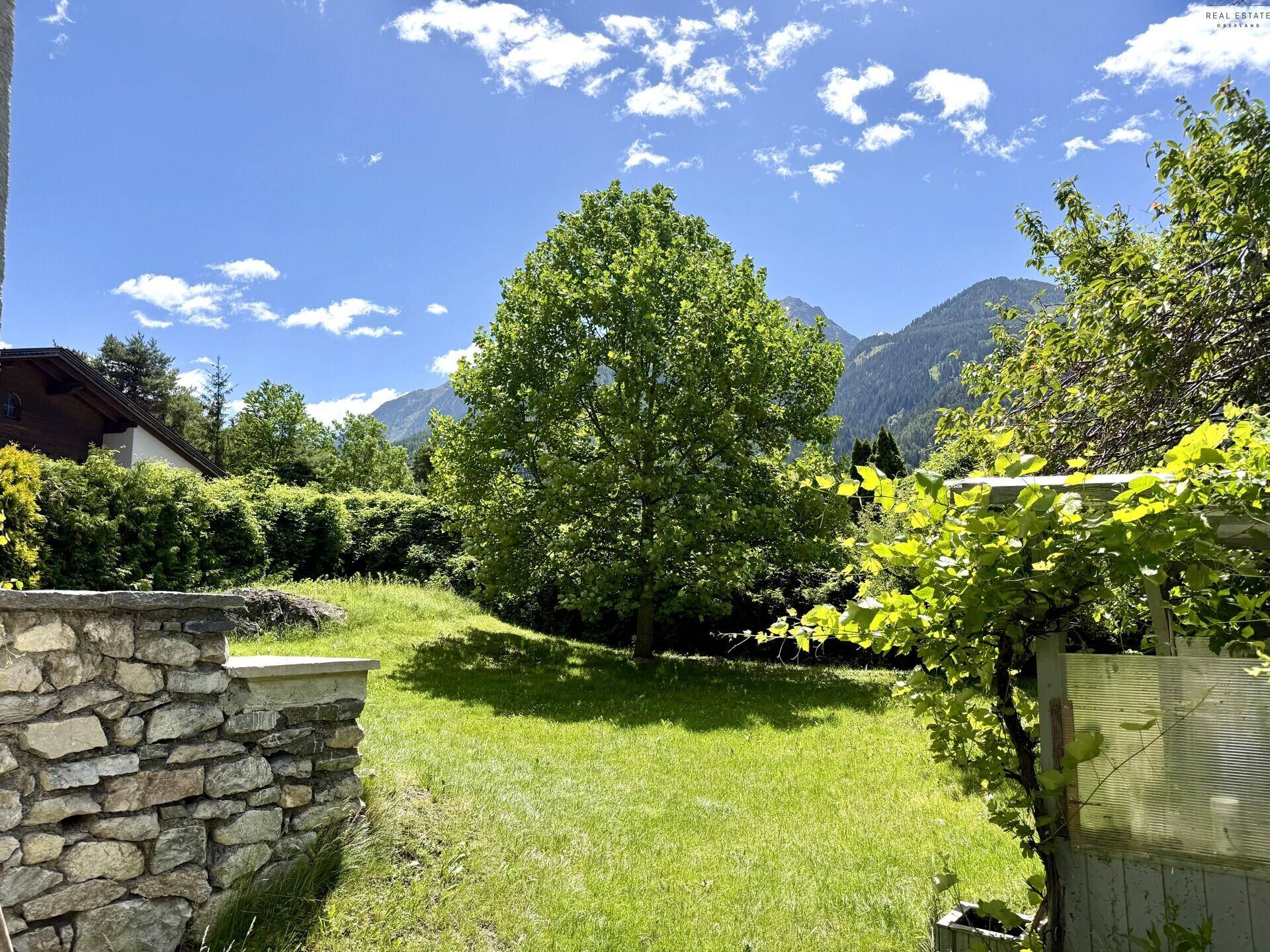 Großer grüner Garten mit altem Baum und beeindruckendem Bergblick unter blauem Himmel.