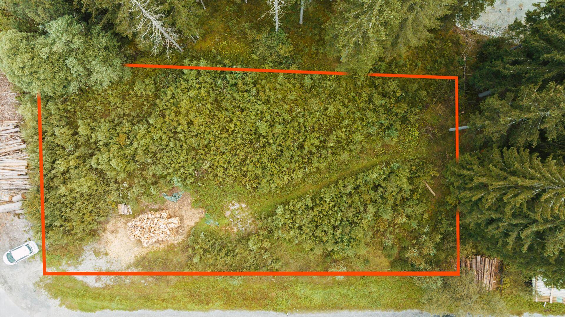 Nahaufnahme aus der Vogelperspektive eines bewachsenen Grundstücks, umgeben von Bäumen und Holzstapeln.