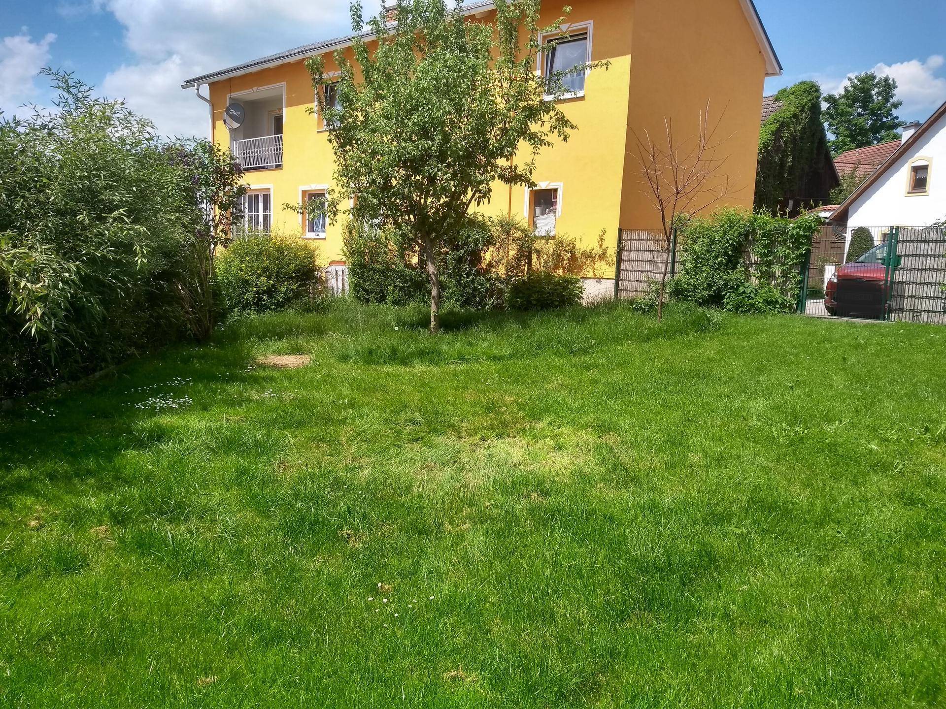 Große Rasenfläche mit einem Baum und einem gelben Wohnhaus im Hintergrund.