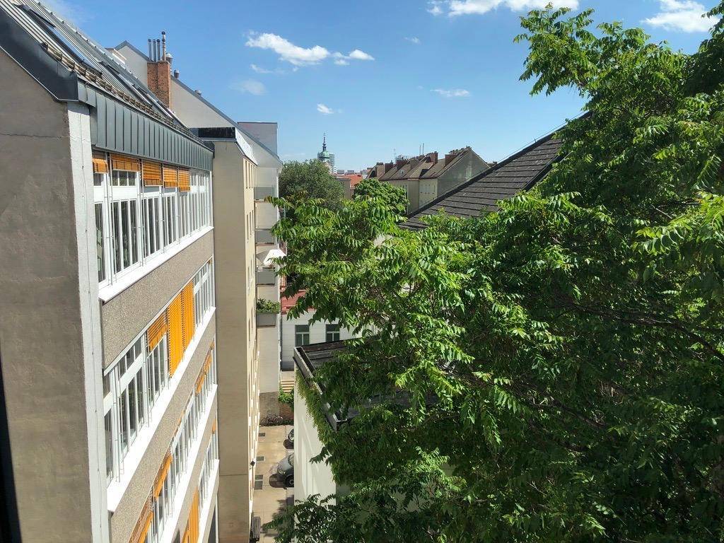 Blick von oben auf die umliegenden Gebäude und üppiges Grün an einem sonnigen Tag.