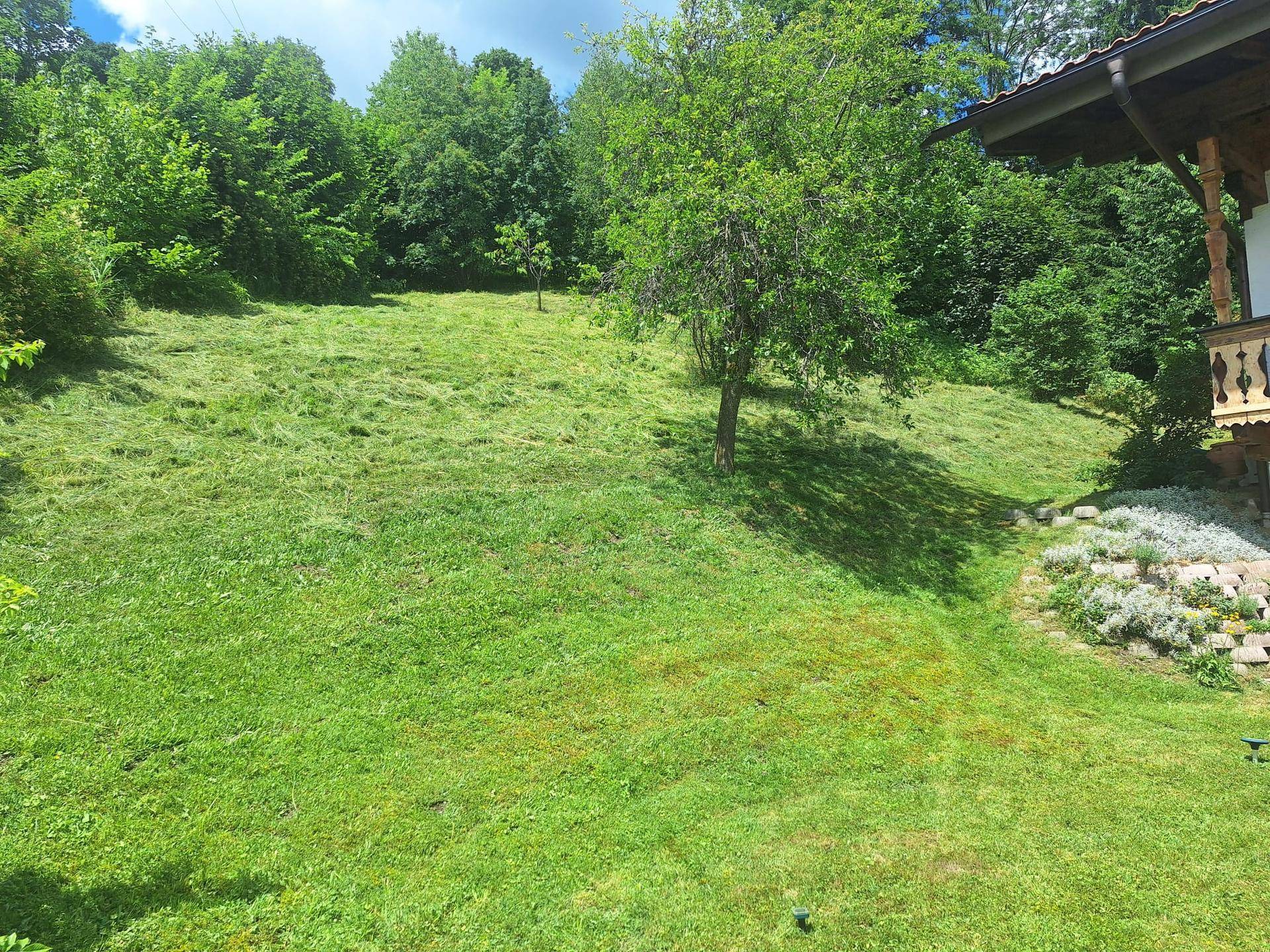 Grüne Rasenfläche mit Bäumen und angrenzendem Wald, teilweise mit Blick auf die Holzfassade des Hauses.