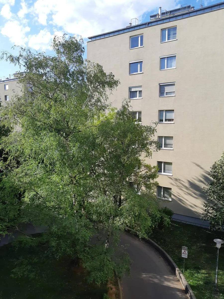 Blick von einem oberen Stockwerk auf ein Mehrfamilienhaus mit grünen Bäumen und einem Innenhof.