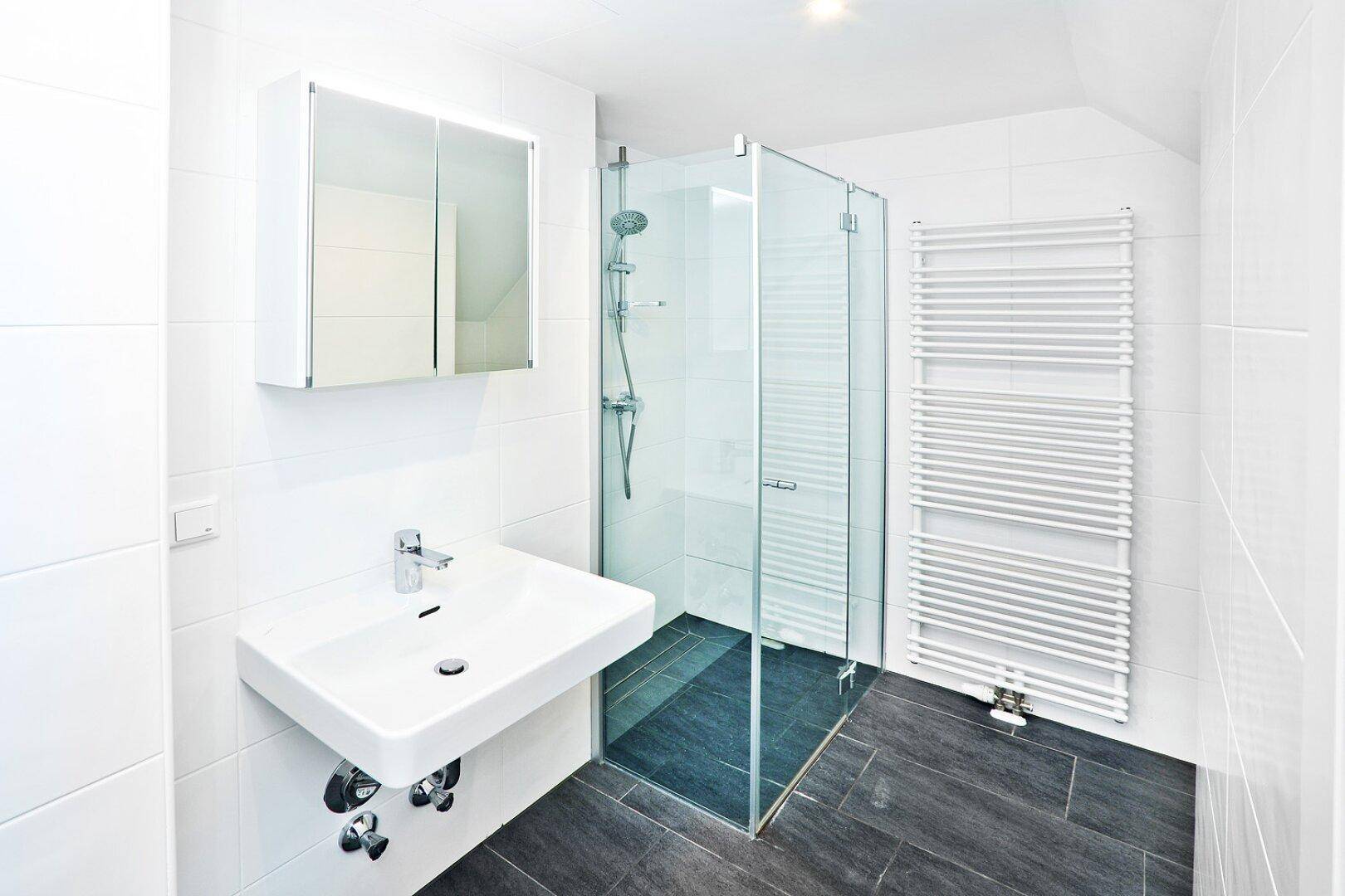 Modernes Badezimmer mit Duschkabine, Waschbecken und beheiztem Handtuchhalter.