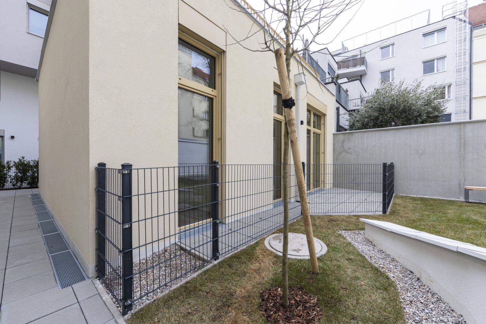 Seitlicher Blick auf den Gartenbereich mit jungem Baum und gepflastertem Zugang zur Terrasse des Gebäudes.