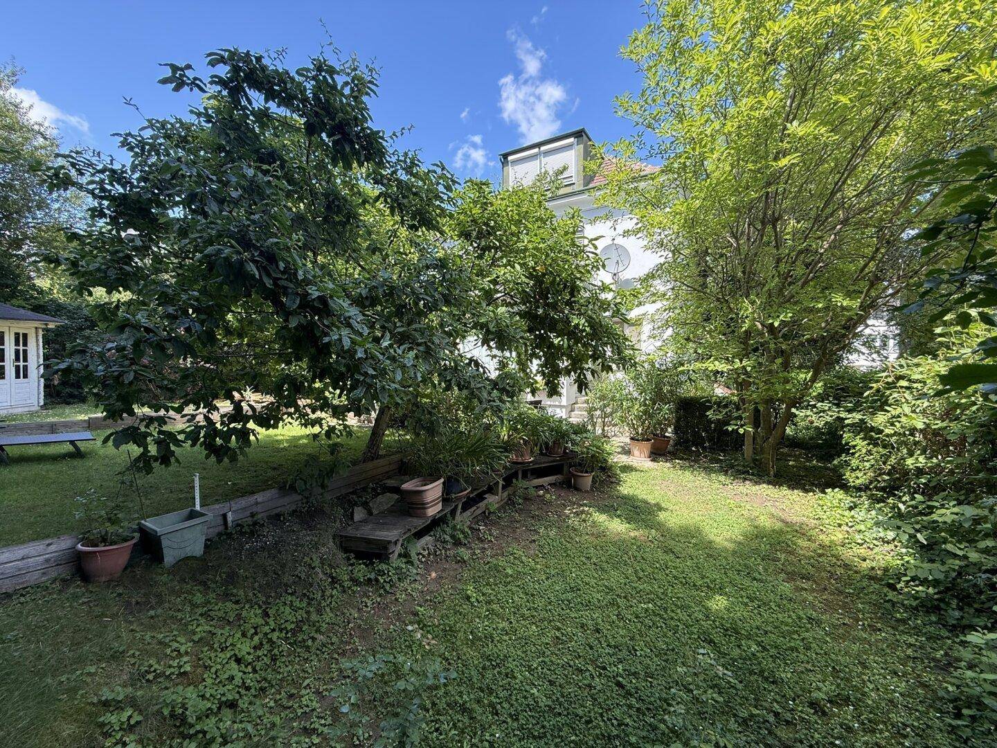 Idyllischer Gartenbereich mit üppiger Vegetation, einem kleinen Baum und einem weißen Gartenpavillon.