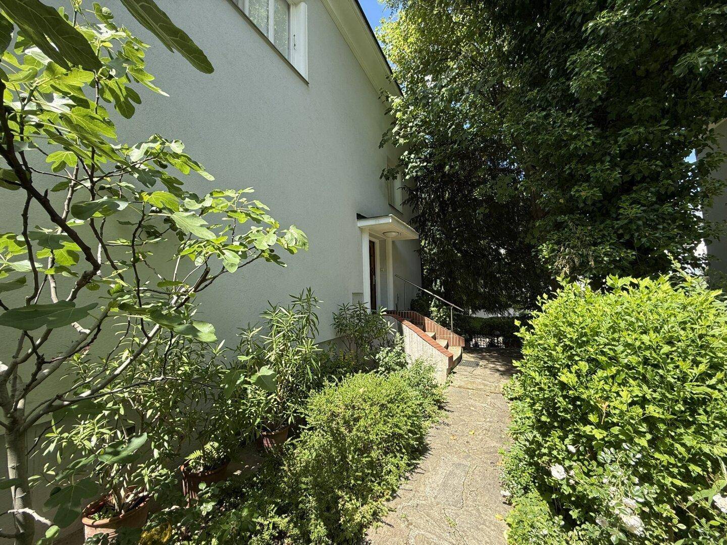 Seitlicher Eingangsbereich des Hauses mit einem gepflasterten Weg, umgeben von üppigen Pflanzen und Sträuchern.