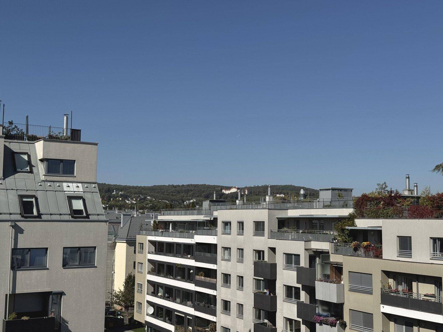 Blick über die Dächer der Stadt auf umliegende Gebäude und grüne Hügel.
