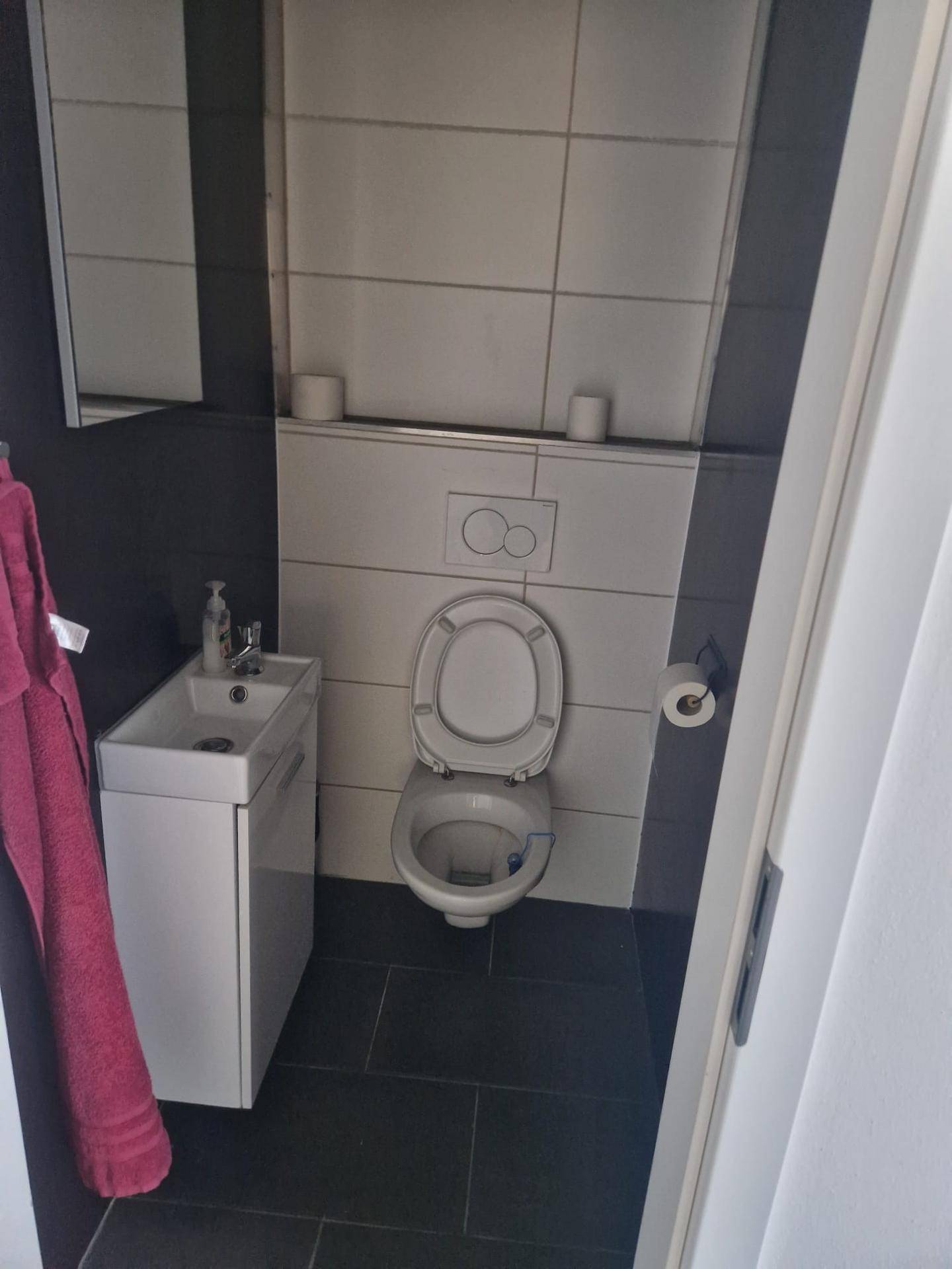Kleines Badezimmer mit einer Toilette, einem Waschbecken und dunklen sowie weißen Fliesen.