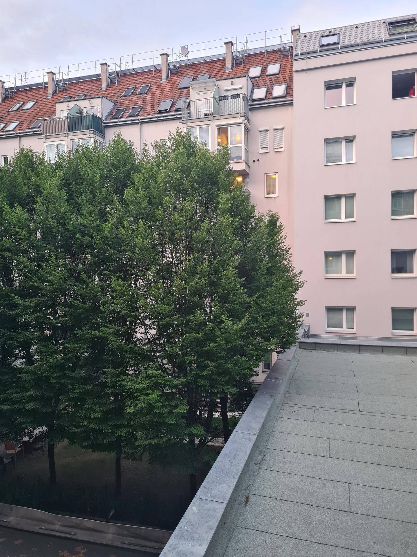 Blick auf die Rückseite eines Wohngebäudes mit vielen Bäumen und Dachfenstern.
