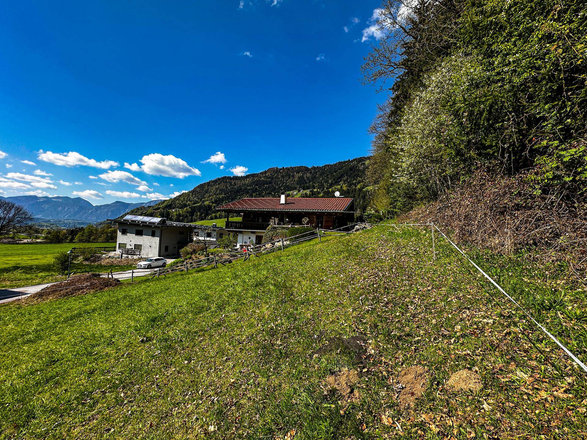 Panorama-Grundstück in idyllischer Waldrandlage - Ansicht 6