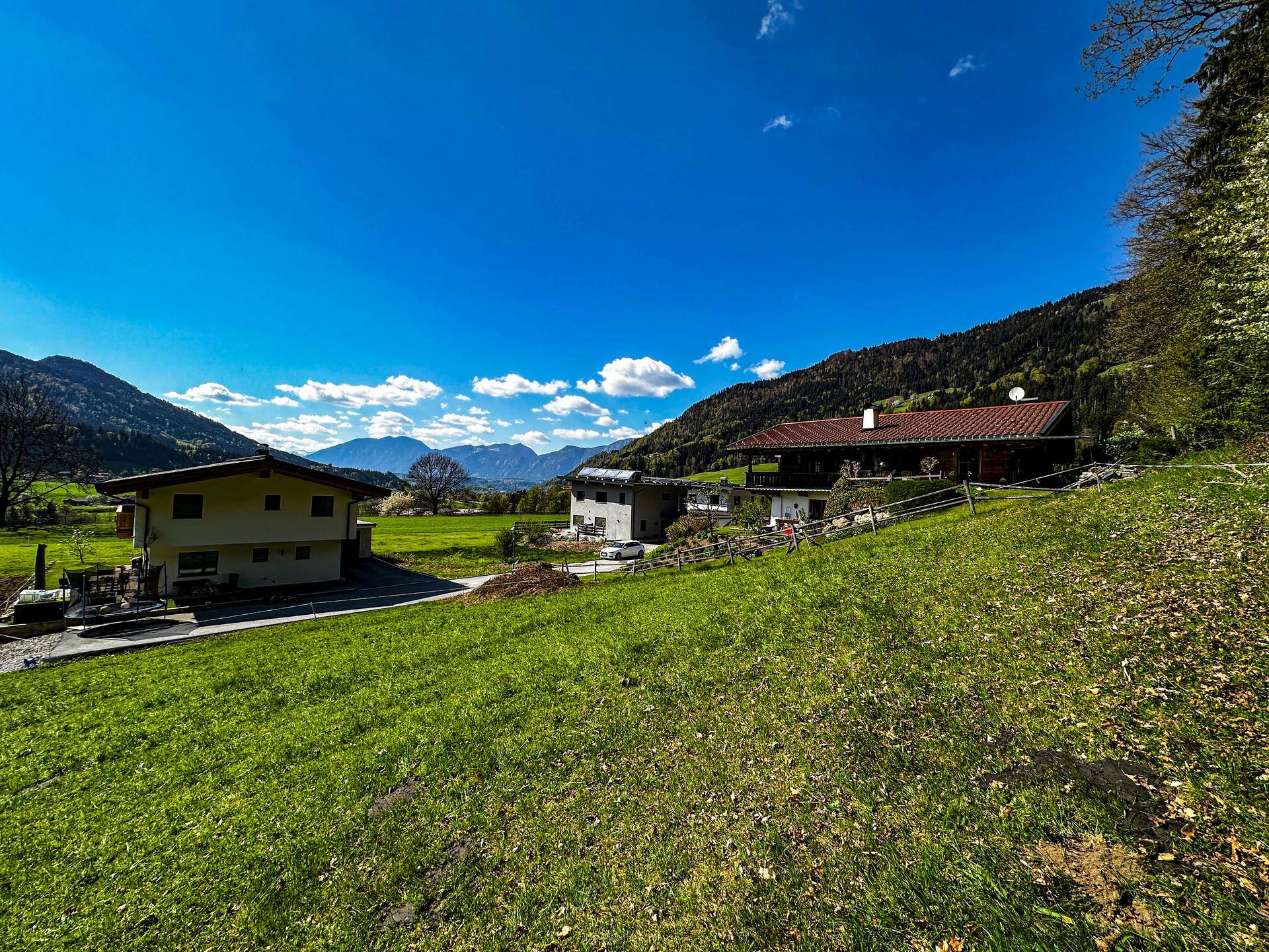 Panorama-Grundstück in idyllischer Waldrandlage - Ansicht 4