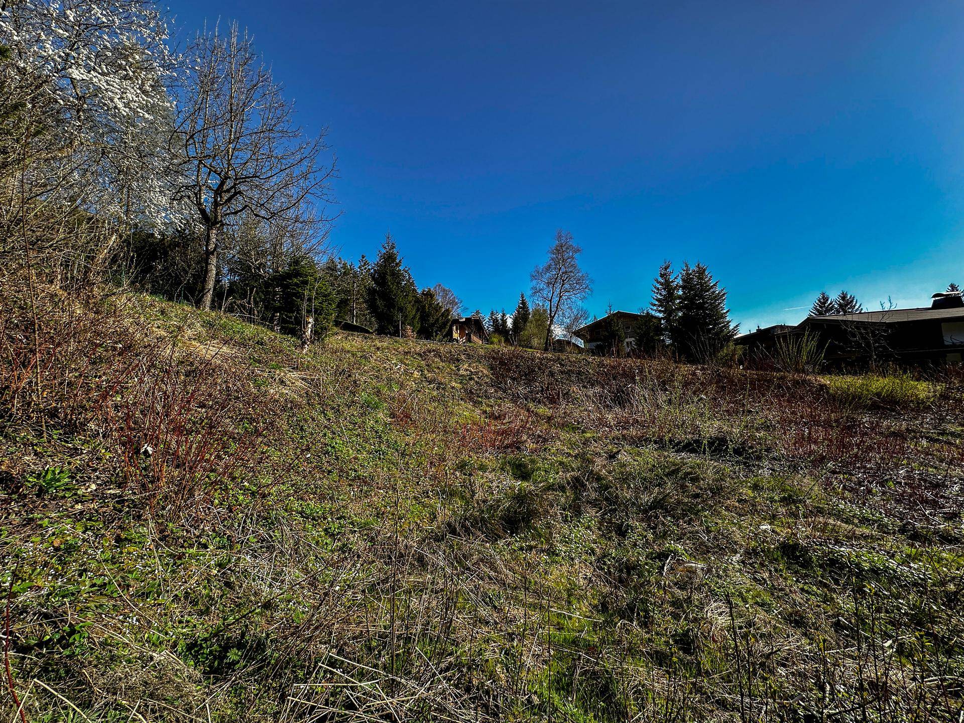 Hügelige grüne Landschaft mit Bäumen und Häusern in der Ferne unter einem klaren blauen Himmel.