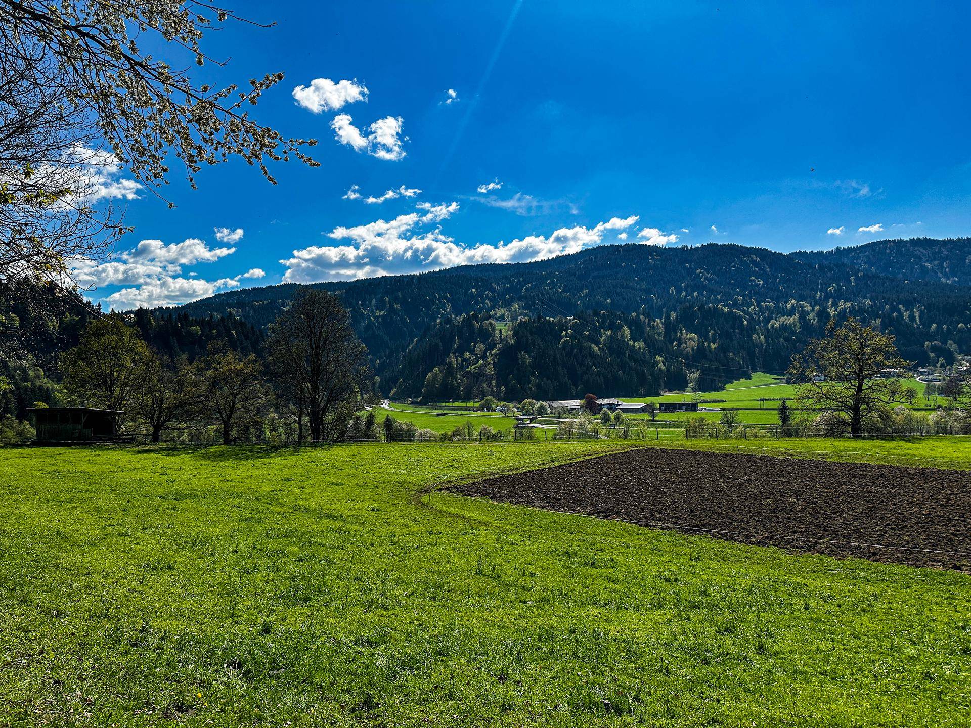 Panorama-Grundstück in idyllischer Waldrandlage - Ansicht 5