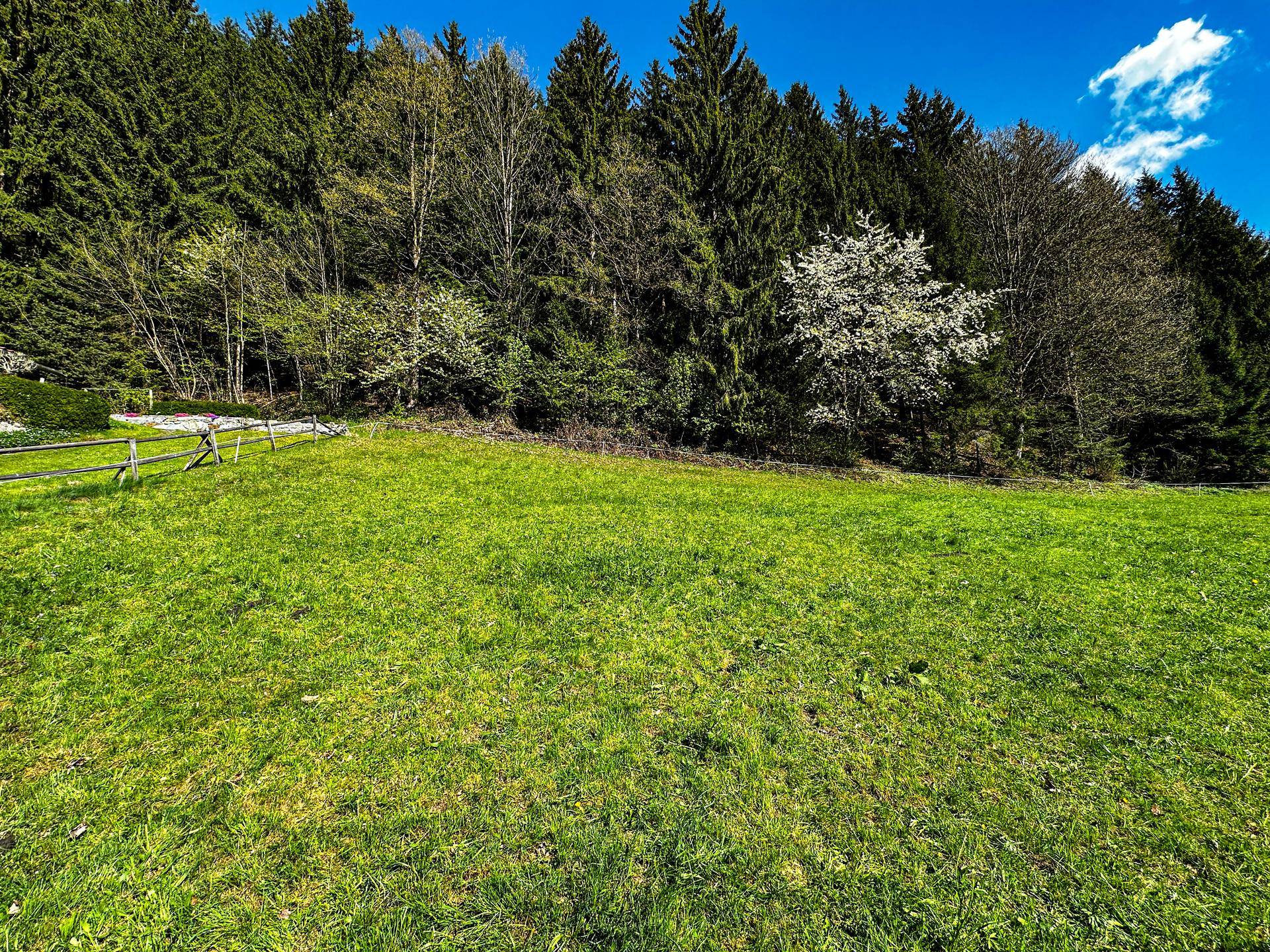 Panorama-Grundstück in idyllischer Waldrandlage - Ansicht 2