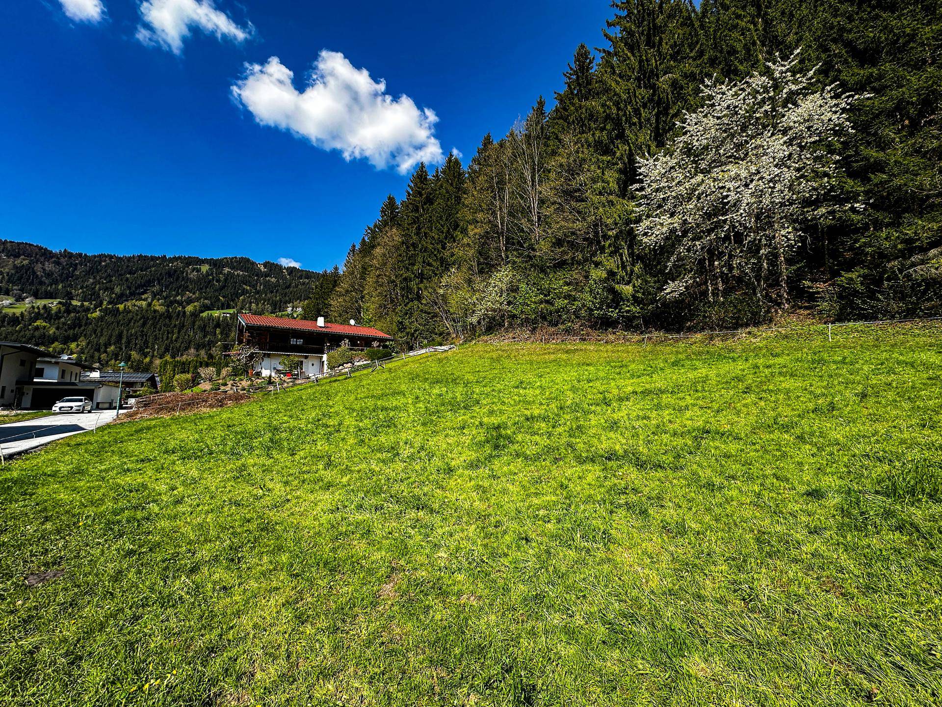 Panorama-Grundstück in idyllischer Waldrandlage - Mehr