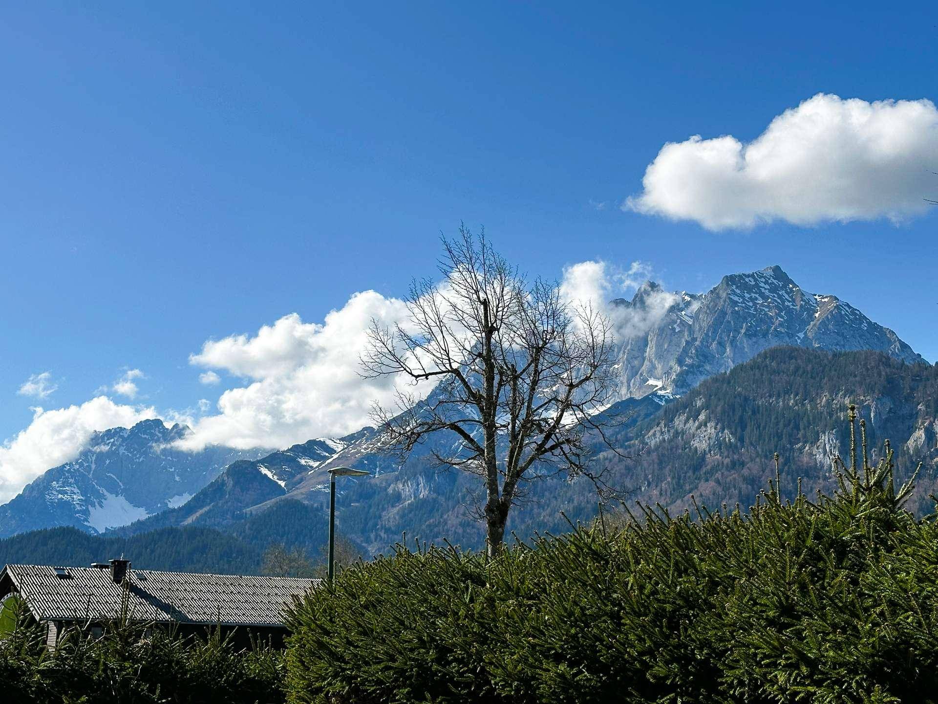 Majestätischer Bergblick mit schneebedeckten Gipfeln und einem kahlen Baum vor blauem Himmel.