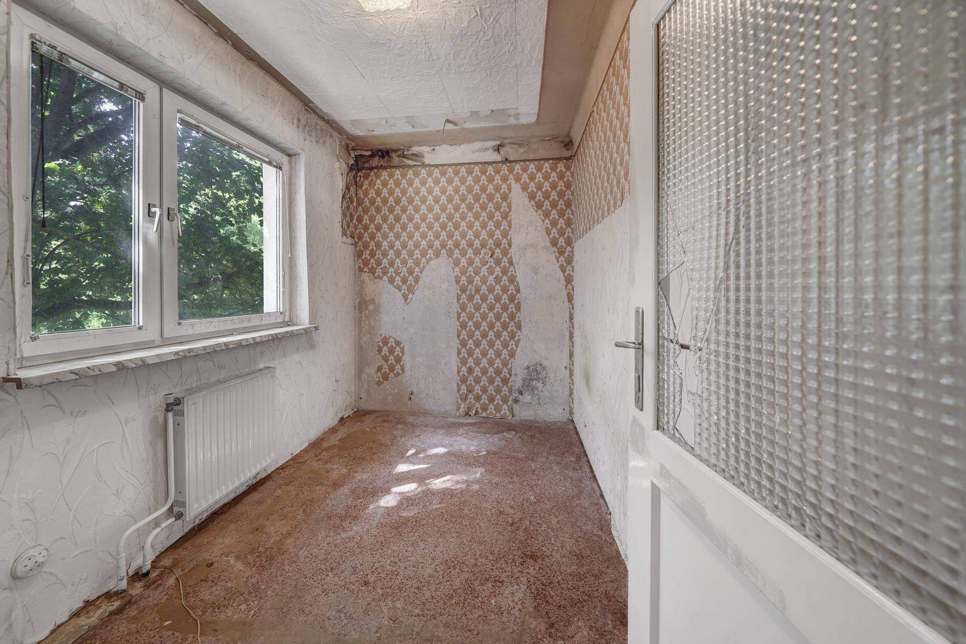 Zimmer in Renovierung mit abgelöster Tapete und Blick auf Bäume.