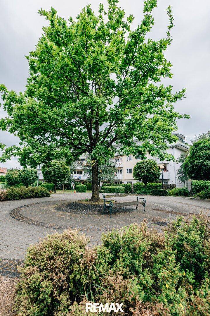 Gepflegte Außenanlage mit großem Baum, Sitzbänken und einem gepflasterten Rundweg.