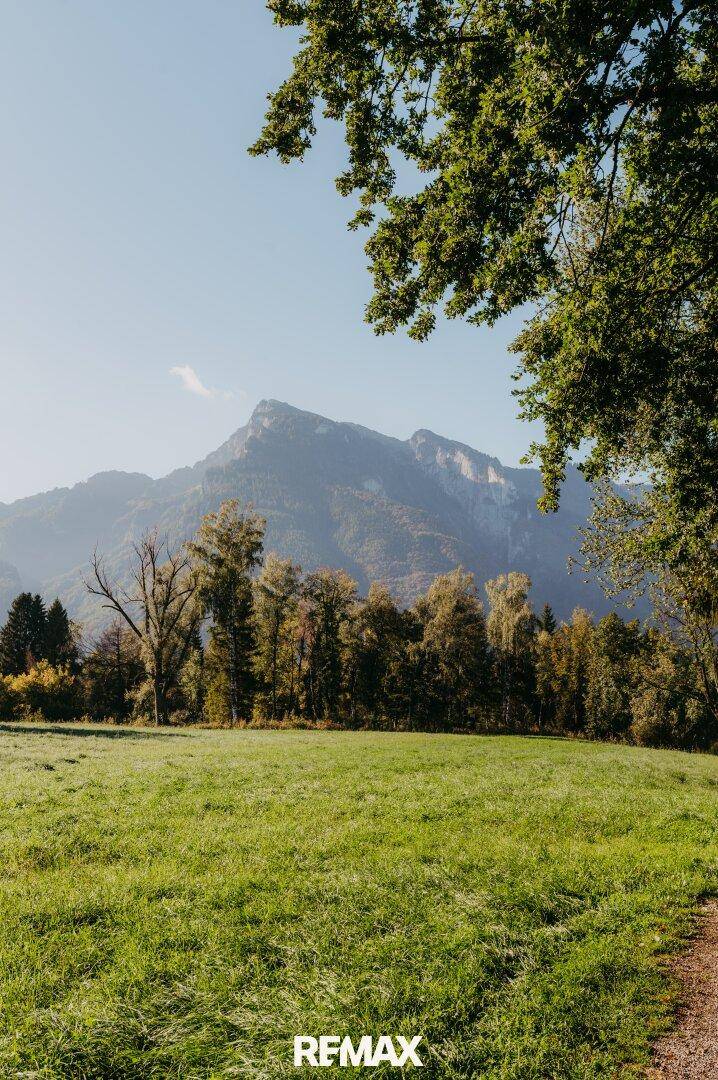 Blick auf den Untersberg