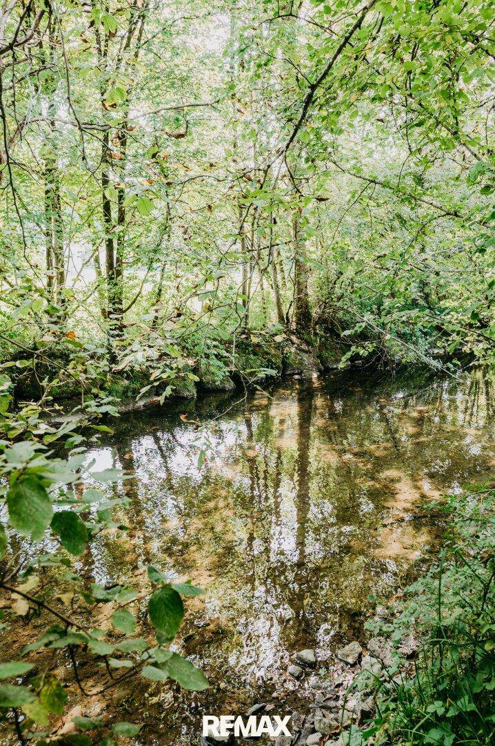 Klarer Bachlauf umgeben von dichtem Grün und Bäumen, deren Spiegelungen im Wasser sichtbar sind.