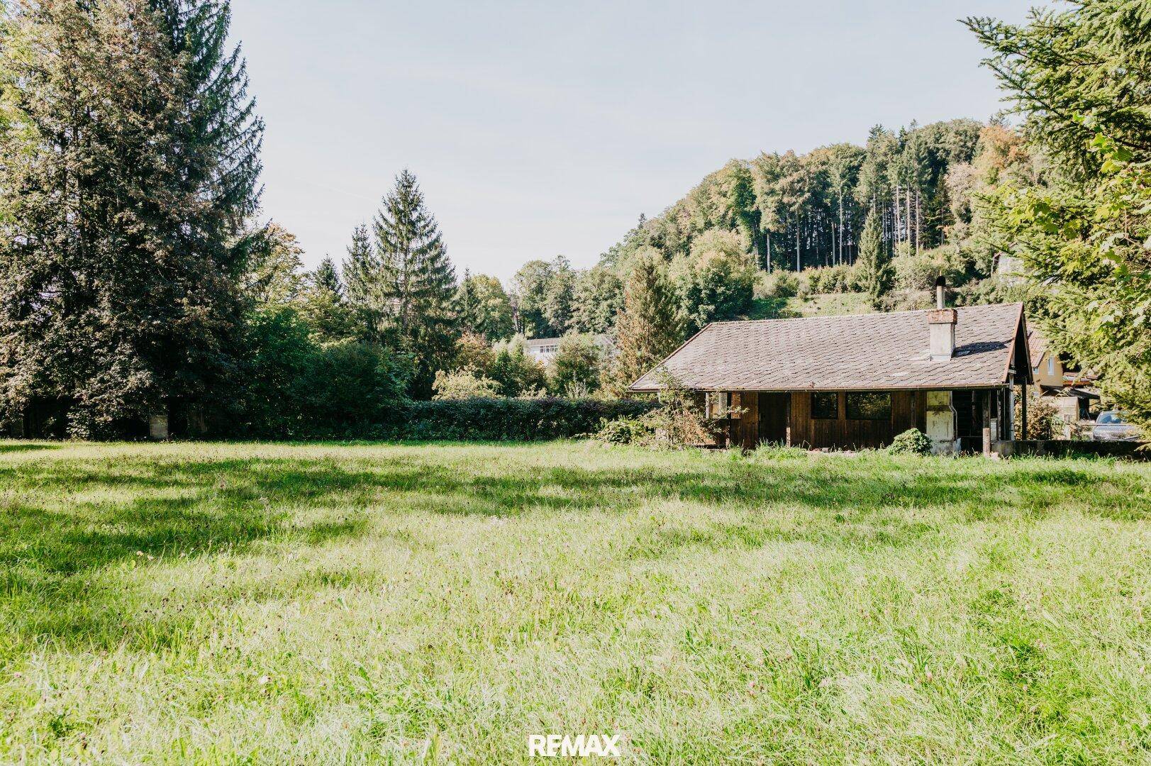 Rustikales Holzhaus mit Giebeldach auf einer weiten Wiese vor einem dichten Waldhintergrund.