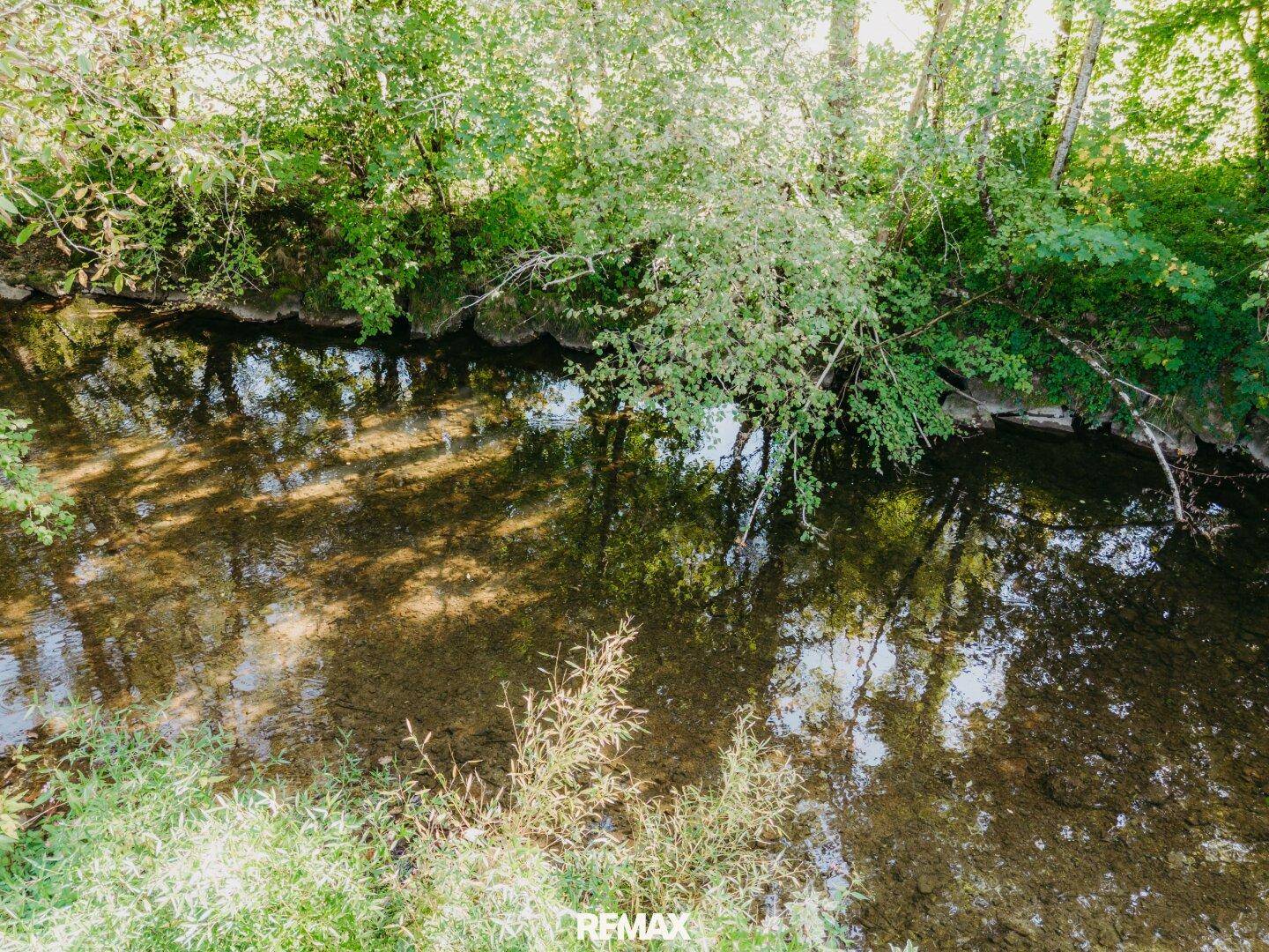 Sonnenlicht durchfluteter Bachlauf mit klarem Wasser und Spiegelungen der umliegenden Bäume und Vegetation.
