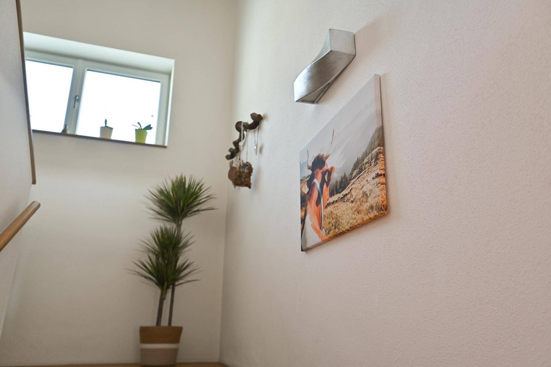 Heller Treppenabsatz mit Fenster, dekorativer Pflanze und Wandbildern.