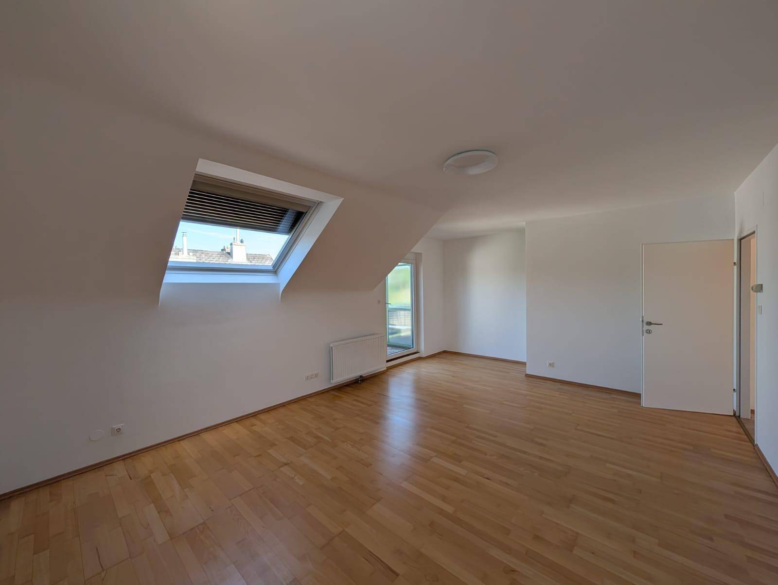 Geräumiger Wohnraum mit Holzboden, Dachfenster und viel Tageslicht.