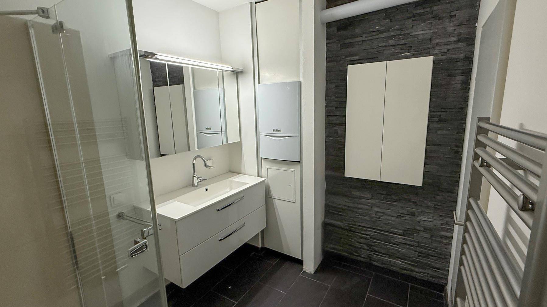 Modernes Badezimmer mit Dusche, Einzelwaschbecken und dunklen Fliesen.