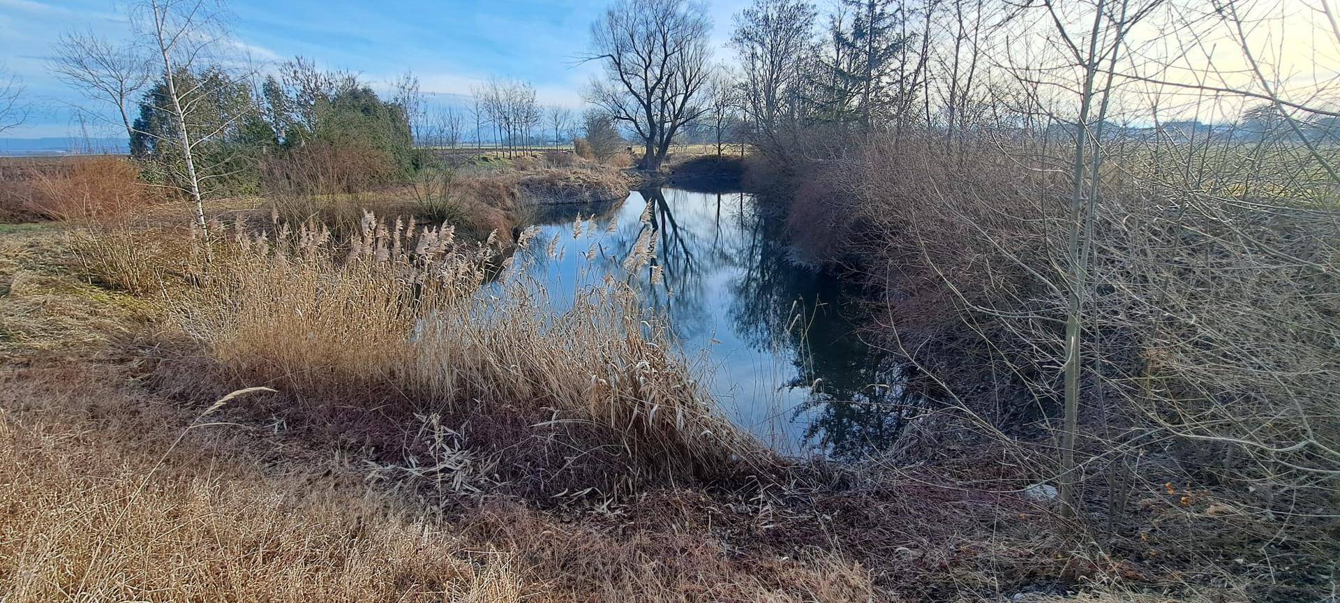Ruhiger Teich mit Spiegelungen der Bäume und trockenem Schilf am Ufer.