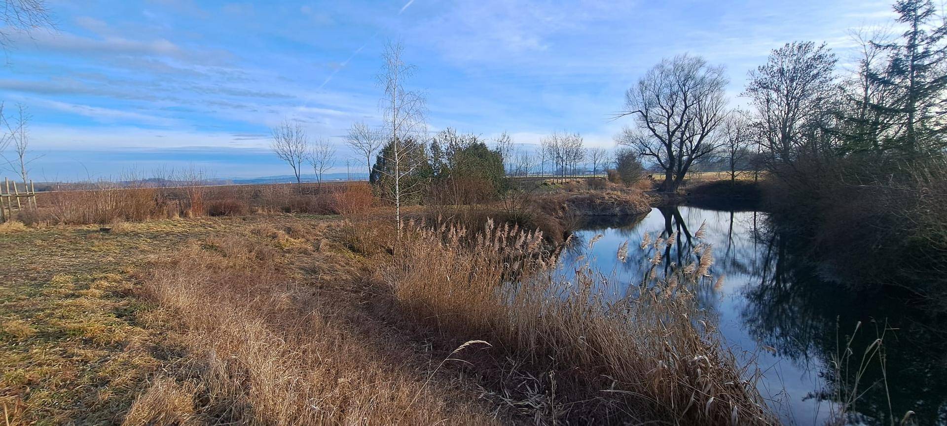 Weitläufige Landschaft mit einem Teich, umgeben von Feldern und Bäumen unter weitem Himmel.