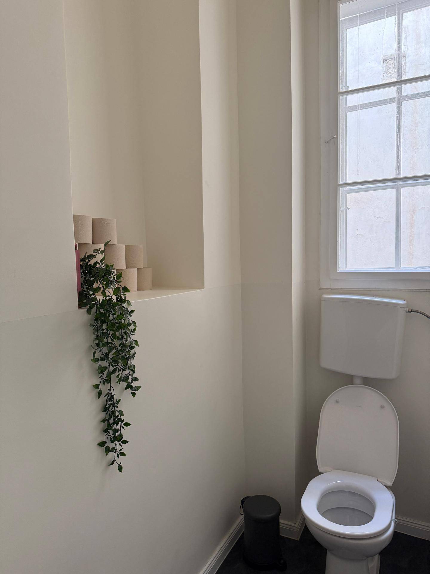 Separate Toilette mit Fenster, dunklem Fliesenboden und dekorativer Pflanze in einer Nische.