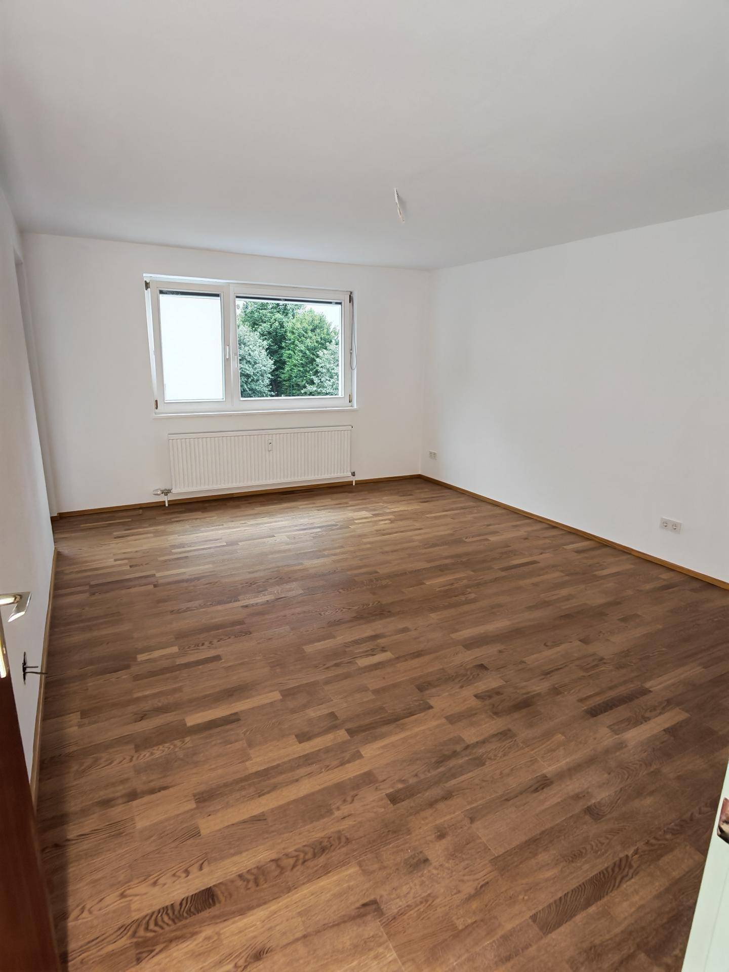 Geräumiges, leeres Zimmer mit dunklem Laminatboden und Fenster mit Blick ins Grüne.