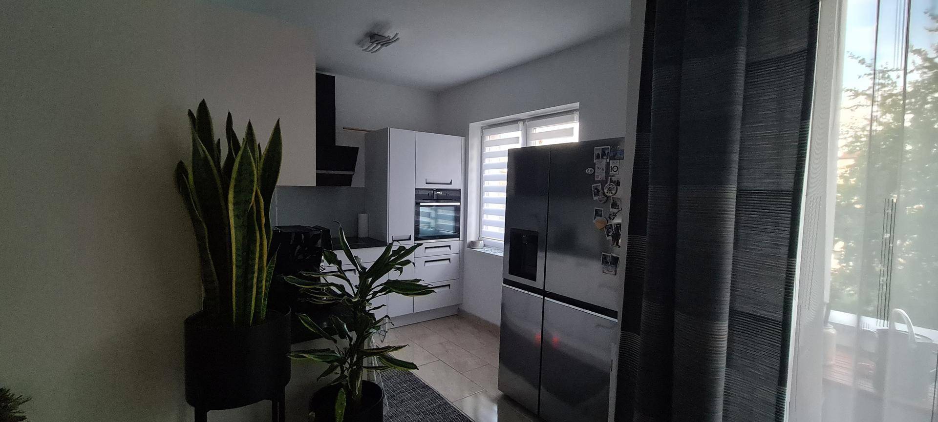 Moderne Küche mit weißen Schränken, großem Kühlschrank und Pflanzen.