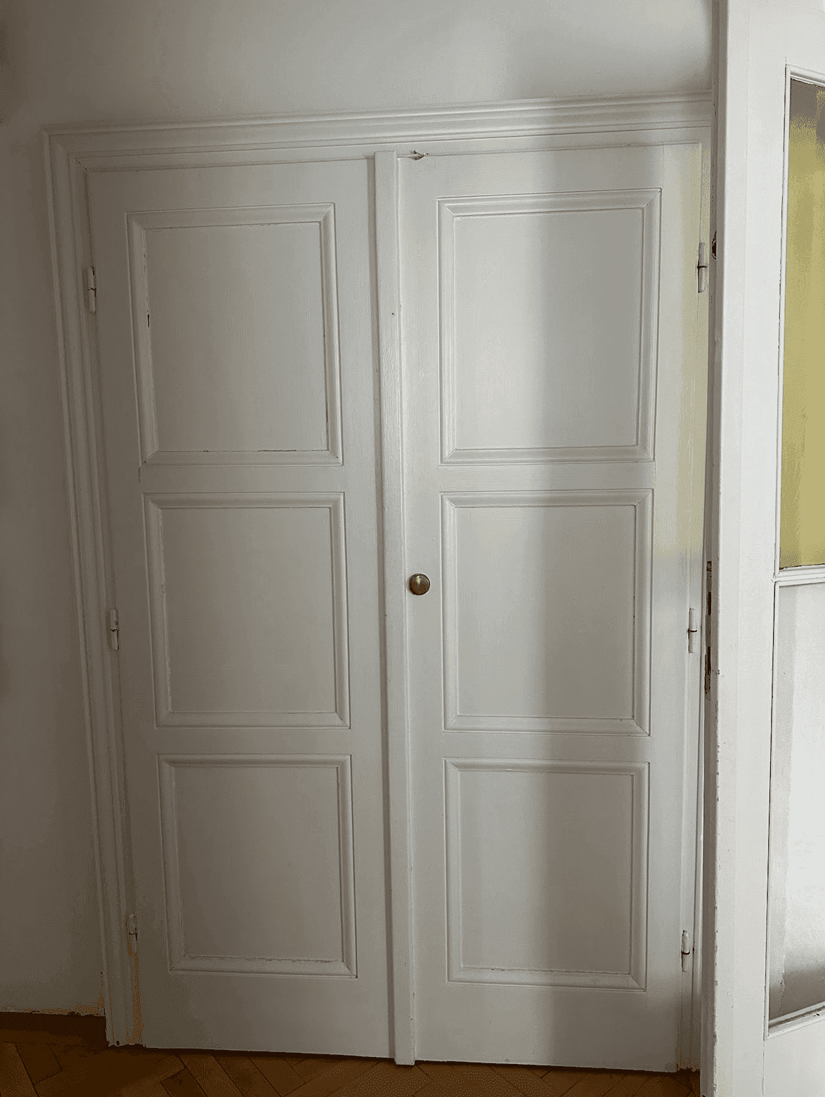 Klassische weiße Doppeltüren mit Kassettenmuster, die zu einem Schrank oder Raum führen.