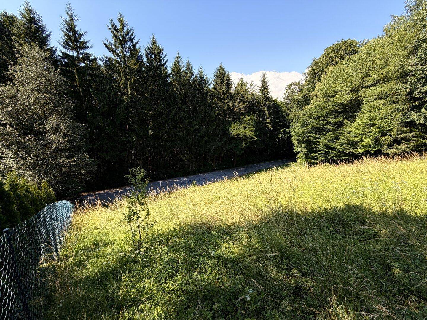 Grüne Wiese mit Zaun, Waldrand und schneebedeckten Bergen in der Ferne unter blauem Himmel.