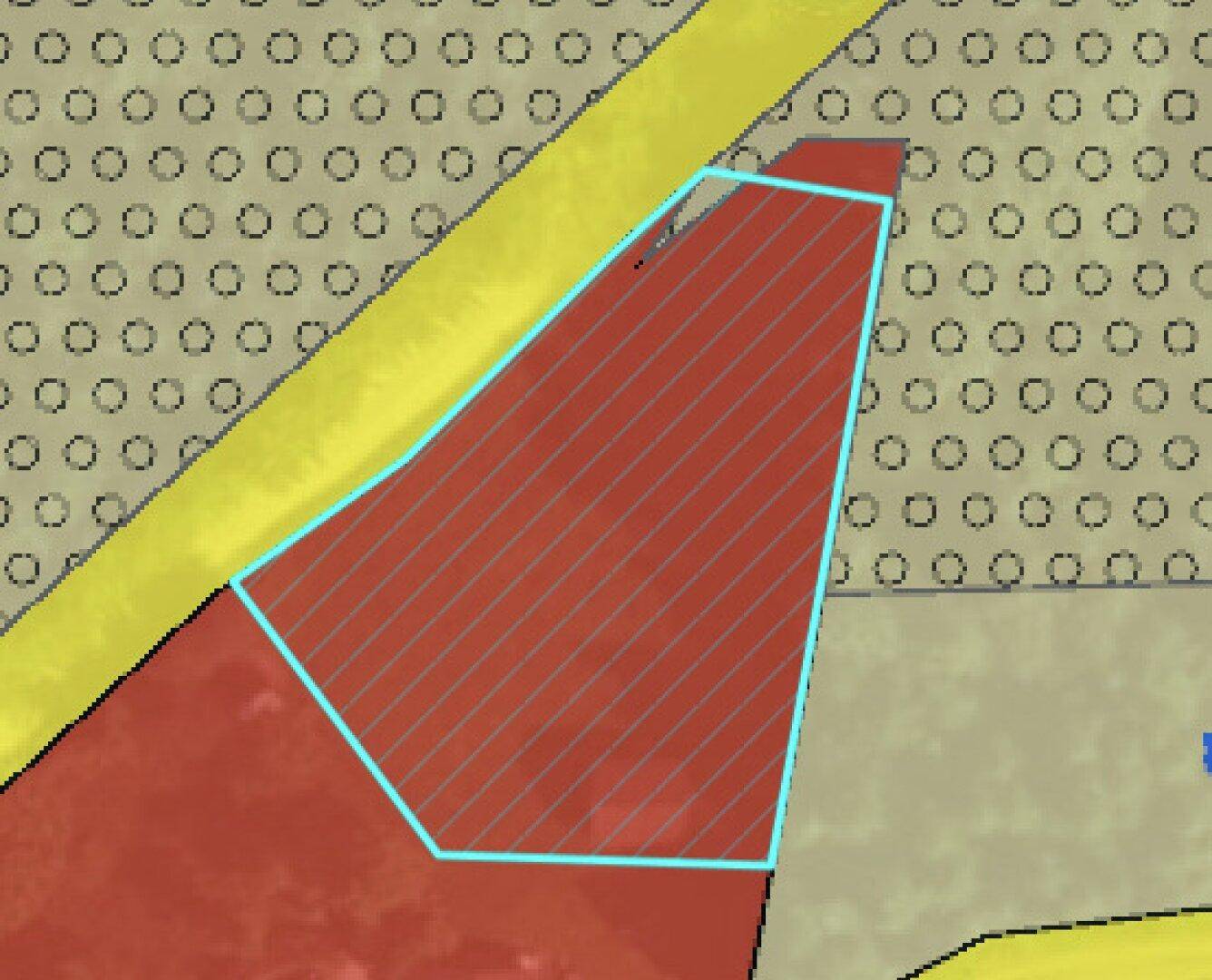 Slide 7