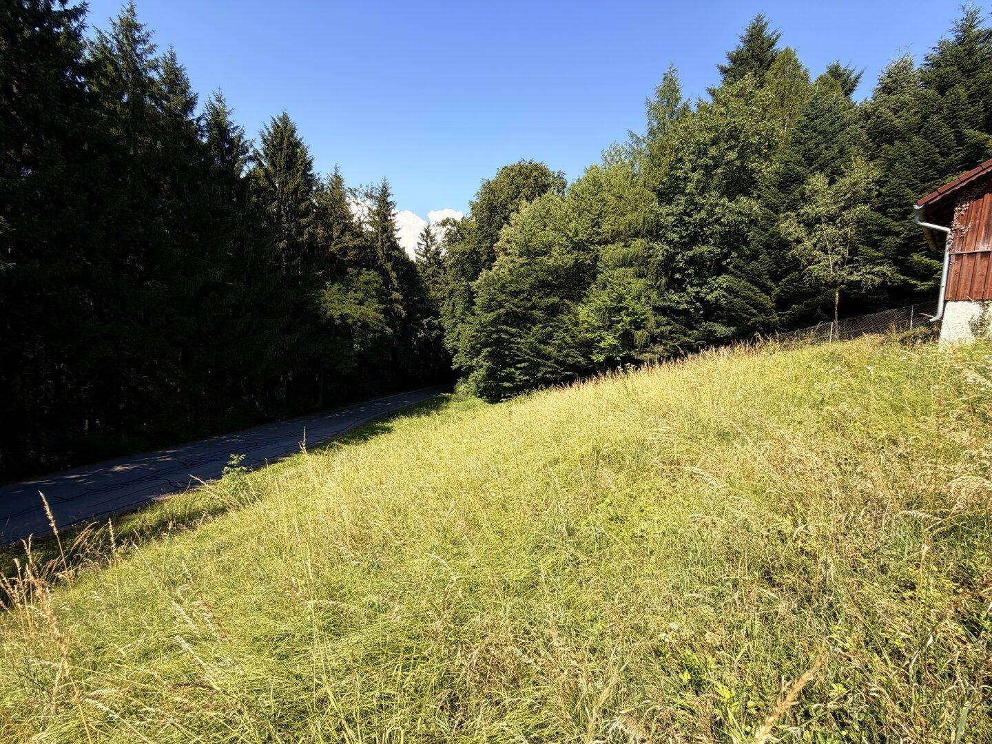 Steile grüne Wiese mit Waldrand und einem Teil eines Hauses unter strahlend blauem Himmel.