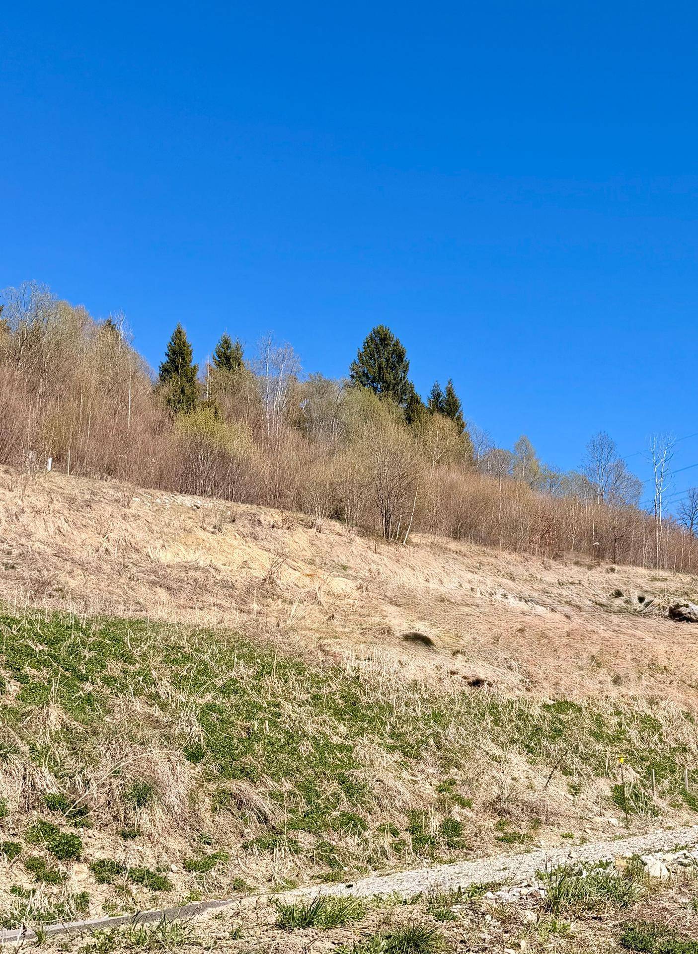 Baugrundstück mit 520 m² in Iselsberg Stronach - Ansicht 3