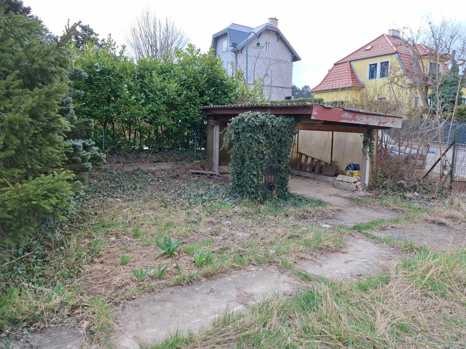 Verwildertes Grundstück mit einem alten, überwachsenen Carport und Baumbestand.