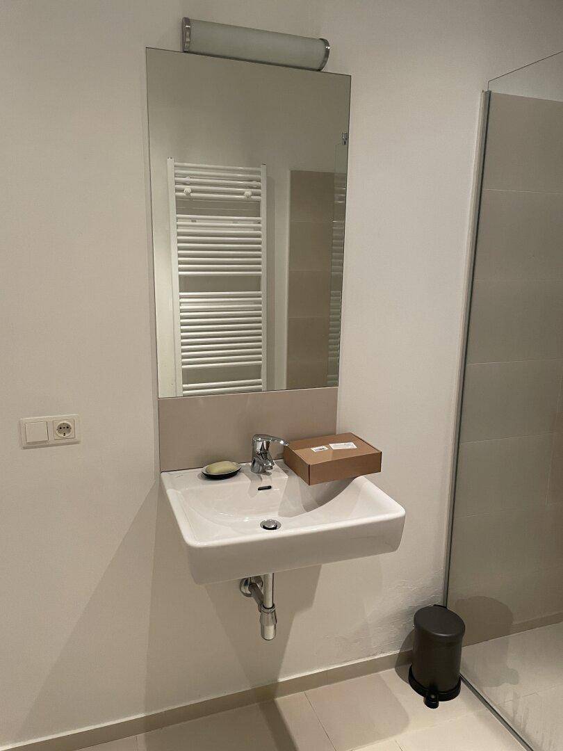 Modernes Badezimmer mit Einzelwaschbecken, großem Spiegel und beheiztem Handtuchhalter.